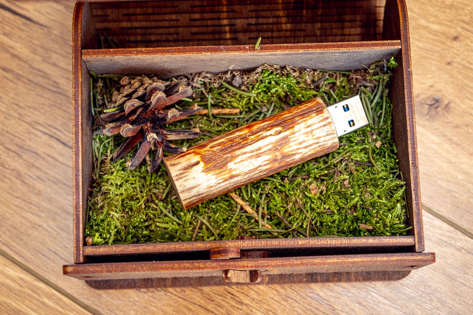 wood box with usb and moss